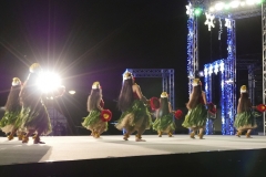 東京ダンスフェスティバル　スペシャルクリスマスイベント in 上野恩賜公園