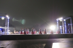 東京ダンスフェスティバル　スペシャルクリスマスイベント in 上野恩賜公園