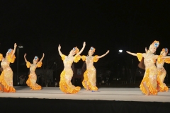東京ダンスフェスティバル　スペシャルクリスマスイベント in 上野恩賜公園